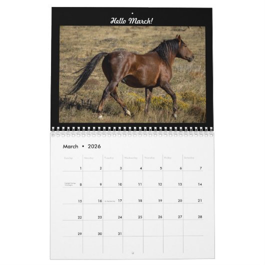 Wilde Paarden 2024 Kalender (Mar 2026)