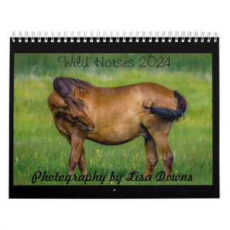 Wilde Paarden 2024 Kalender