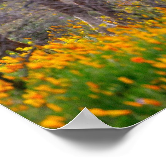 Wilde paarden | Afdrukken van Poster voor wandkuns (Hoek)