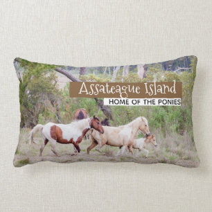 Wilde paarden - Assateague Island Kussen