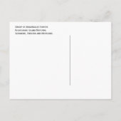 Wilde paarden, Assateaue Island National Seashore, Briefkaart (Achterkant)