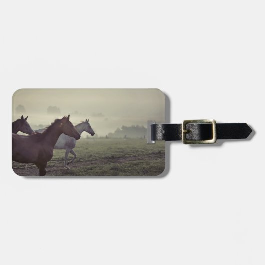 Wilde paarden bagagelabel (Voorkant horizontaal)