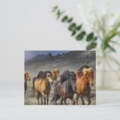 Wilde paarden briefkaart (Staand voorkant)
