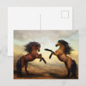 Wilde paarden briefkaart (Voorkant / Achterkant)