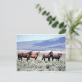 Wilde paarden briefkaart (Staand voorkant)