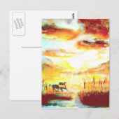 Wilde paarden. briefkaart (Voorkant / Achterkant)