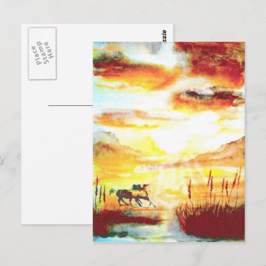 Wilde paarden. briefkaart (Voorkant / Achterkant)