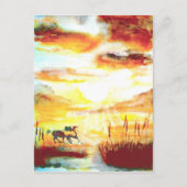 Wilde paarden. briefkaart (Voorkant)