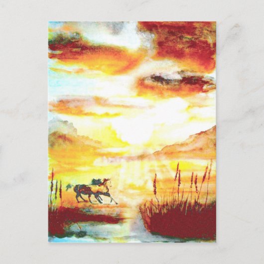 Wilde paarden. briefkaart (Voorkant)