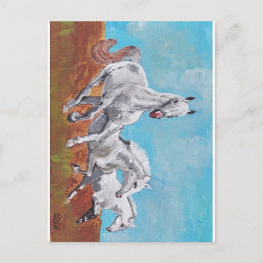 Wilde paarden briefkaart (Voorkant)