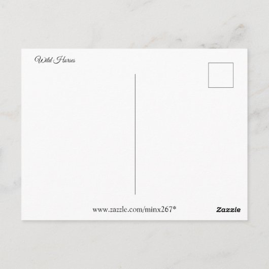Wilde paarden briefkaart (Achterkant)