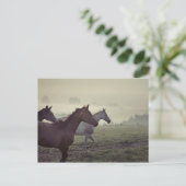 Wilde paarden briefkaart (Staand voorkant)