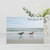 Wilde paarden Buitenste banken OBX Corolla NC Flat (Staand voorkant)