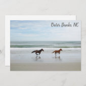 Wilde paarden Buitenste banken OBX Corolla NC Flat (Voorkant / Achterkant)