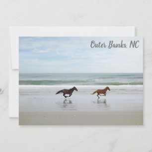 Wilde paarden Buitenste banken OBX Corolla NC Flat