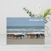 Wilde paarden Buitenste banken OBX Corolla NC Flat (Staand voorkant)