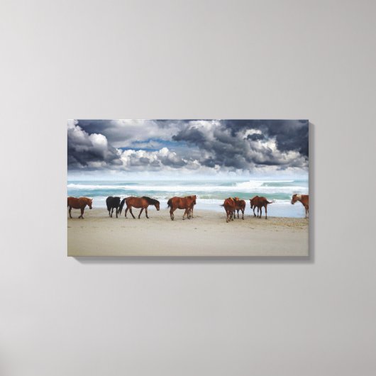 Wilde paarden Buitenter Banks NC Canvas Afdruk (Voorkant)