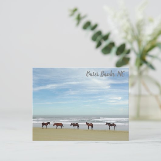 Wilde paarden Buitenter Banks OBX Corolla NC Briefkaart (Staand voorkant)