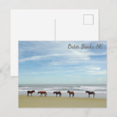 Wilde paarden Buitenter Banks OBX Corolla NC Briefkaart (Voorkant / Achterkant)