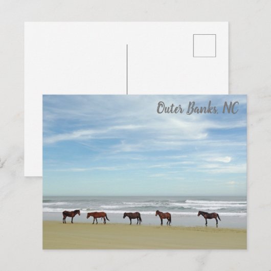 Wilde paarden Buitenter Banks OBX Corolla NC Briefkaart (Voorkant / Achterkant)