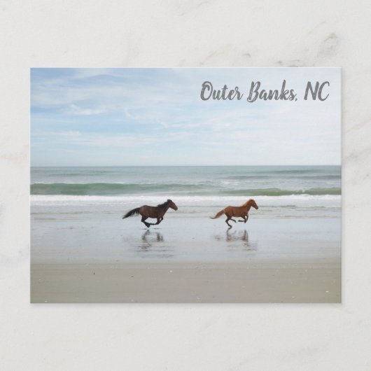 Wilde paarden Buitenter Banks OBX Corolla NC Briefkaart (Voorkant)