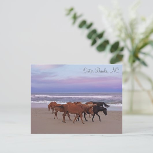 Wilde paarden Buitenter Banks OBX Corolla NC Briefkaart (Staand voorkant)