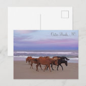 Wilde paarden Buitenter Banks OBX Corolla NC Briefkaart (Voorkant / Achterkant)