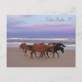 Wilde paarden Buitenter Banks OBX Corolla NC Briefkaart (Voorkant)