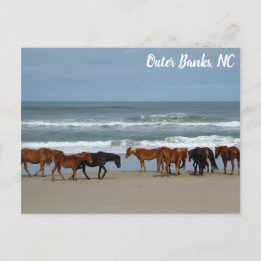 Wilde paarden Buitenter Banks OBX Corolla NC Briefkaart