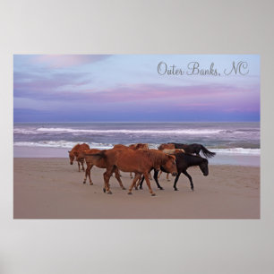 Wilde paarden Buitenter Banks OBX Corolla NC Poster