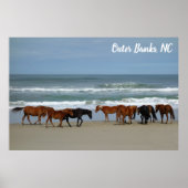 Wilde paarden Buitenter Banks OBX Corolla NC Poster (Voorkant)