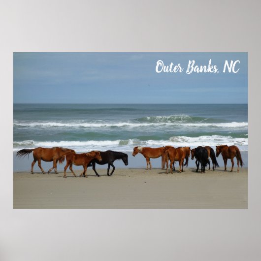Wilde paarden Buitenter Banks OBX Corolla NC Poster (Voorkant)