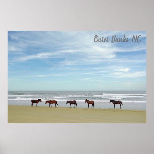 Wilde paarden Buitenter Banks OBX Corolla NC Poster (Voorkant)