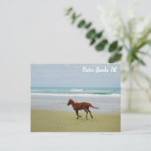 Wilde paarden Buitenter Banks OBX NC Briefkaart (Staand voorkant)