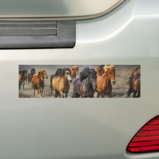Wilde paarden bumpersticker (Op auto)