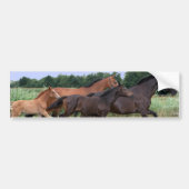 Wilde paarden Bumpersticker (Voorkant)