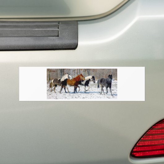 Wilde paarden bumpersticker (Op auto)