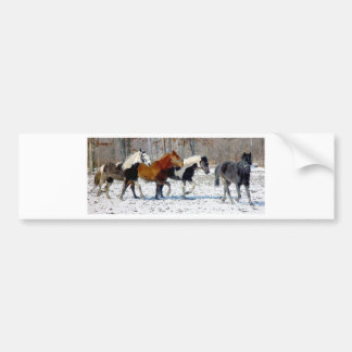 Wilde paarden bumpersticker