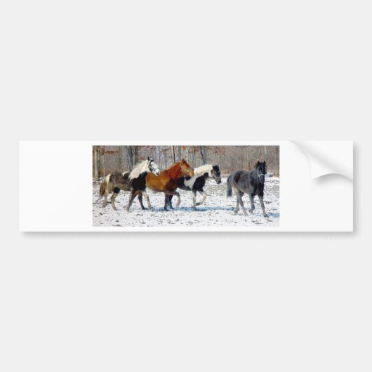 Wilde paarden bumpersticker (Voorkant)
