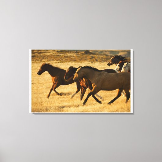 Wilde paarden canvas afdruk (Voorkant)