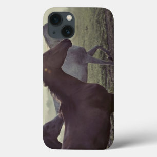 Wilde paarden Case-Mate iPhone case