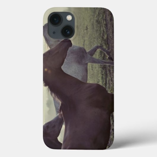 Wilde paarden Case-Mate iPhone case (Achterkant)