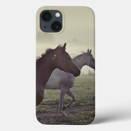 Wilde paarden Case-Mate iPhone case (Achterkant)