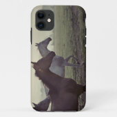 Wilde paarden Case-Mate iPhone case (Achterkant)