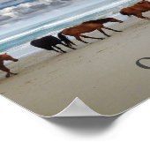Wilde paarden Corolla Outer Banks NC Poster (Hoek)