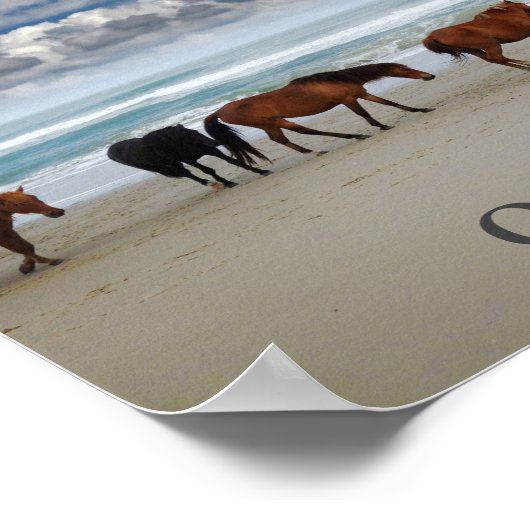 Wilde paarden Corolla Outer Banks NC Poster (Hoek)