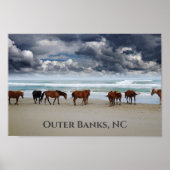 Wilde paarden Corolla Outer Banks NC Poster (Voorkant)