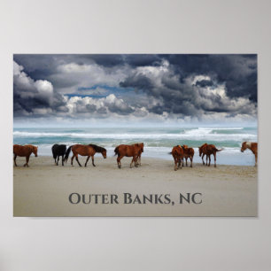 Wilde paarden Corolla Outer Banks NC Poster