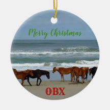 Wilde paarden Corolla Outer Banks OBX