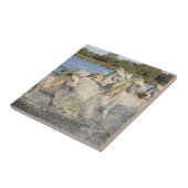 Wilde paarden die door een rivier lopen tegeltje (Zijkant)